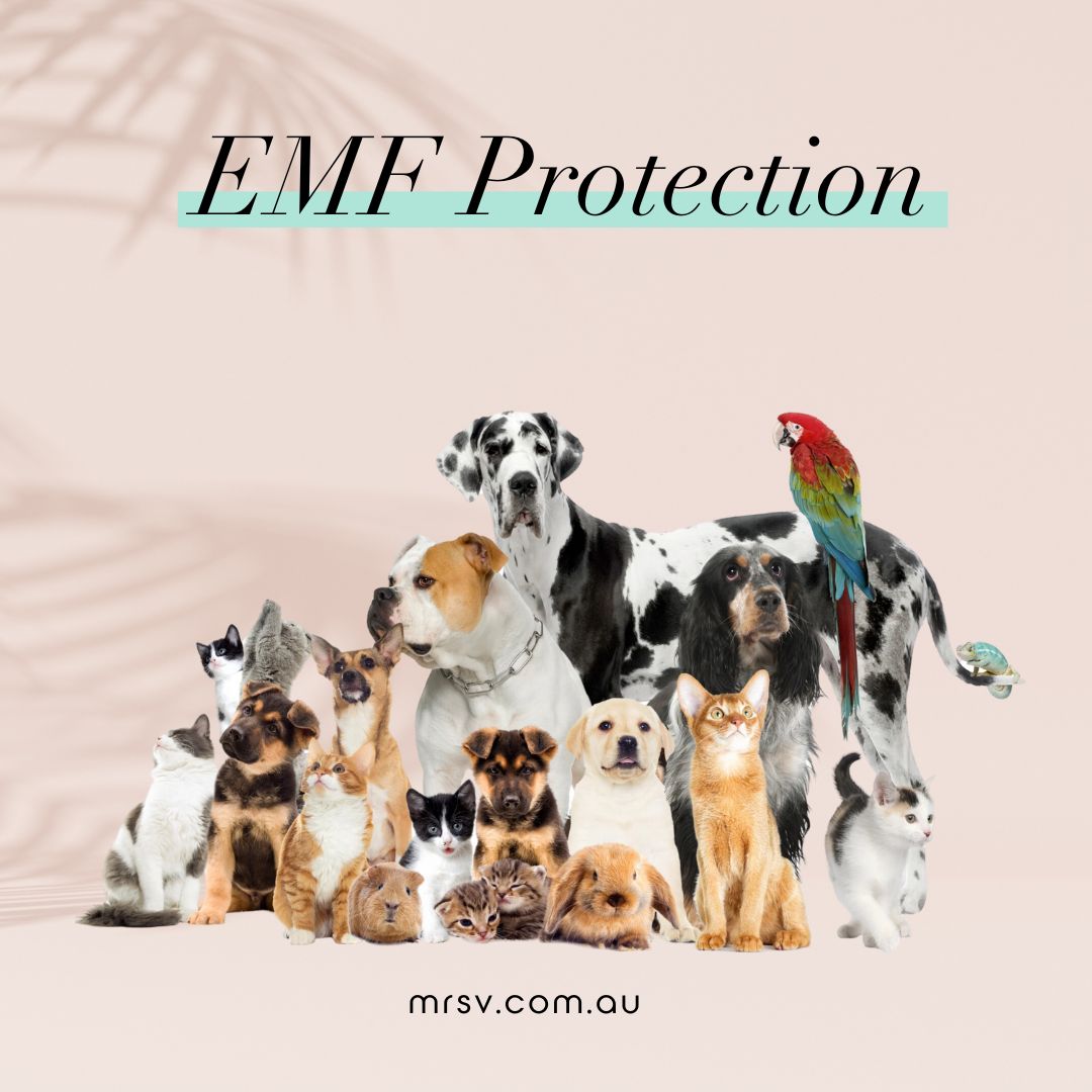 EMF Pet Protection