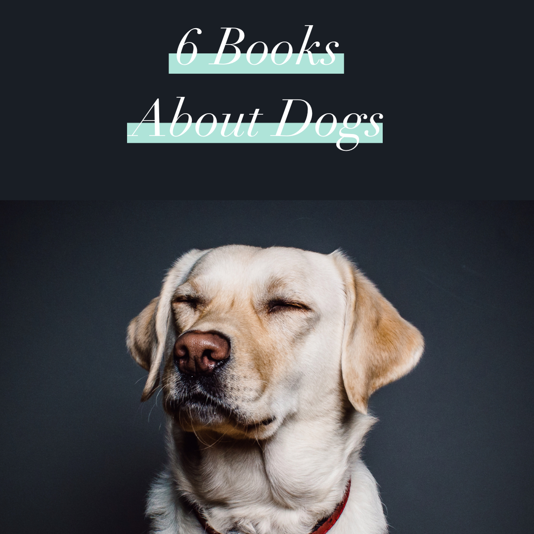 6 Books About Dogs