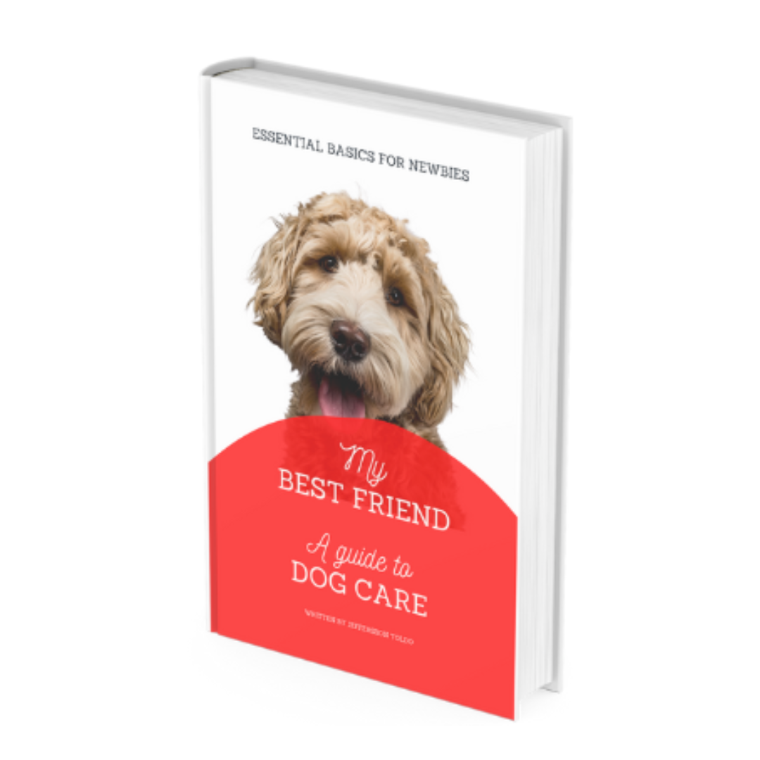 A Guide to Dog Care