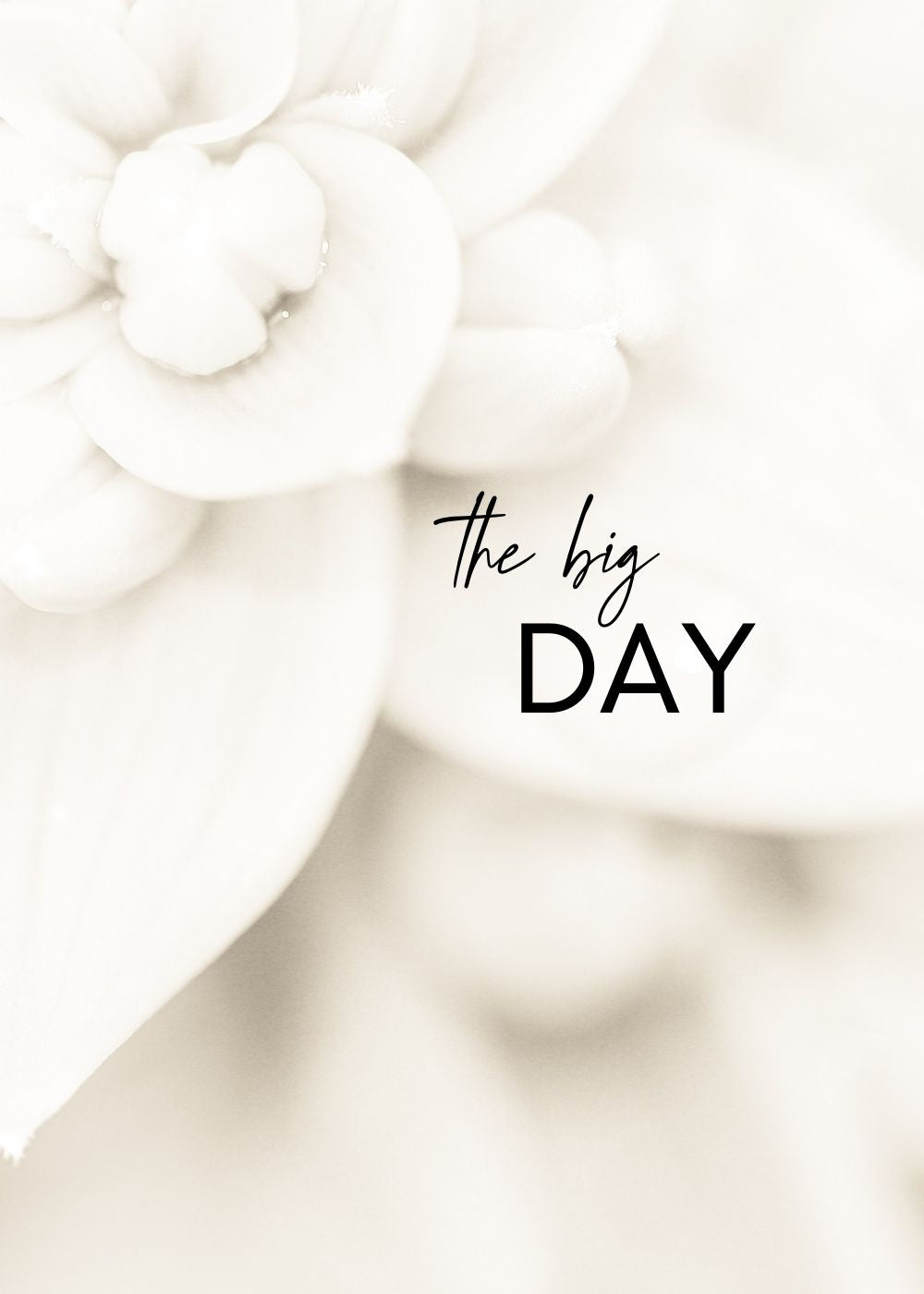 The Big Day Greeting Card by Mrs V – Celebrating Weddings