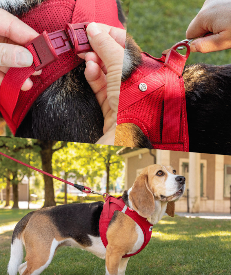 Step-In Vest Merino Dog Harness – Ideal for Small to Medium Dogs